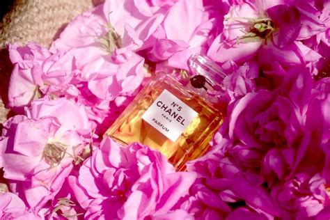 chanel no 5 rose documentarty|chanel no 5 flowers.